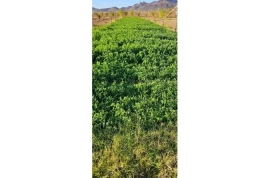 Ferme équipée de 4 hectares région de marrakech